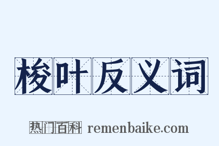 梭叶反义词是什么意思的图片